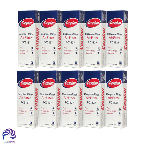 قیمت و خرید فیلتر هوا پژو 405 و پارس برند کاسپین دست 10 عددی | سهند بی استور